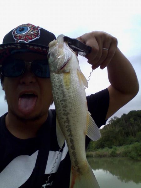 ノーシンカーリグ